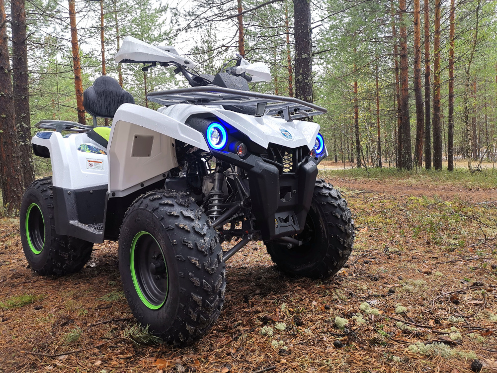 Квадроцикл PROMAX RENEGADE 280 (2025) в Элисте