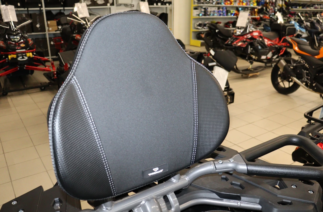 Квадроцикл PROMAX RENEGADE 300 LONG WINCH PRO (2025) в Элисте