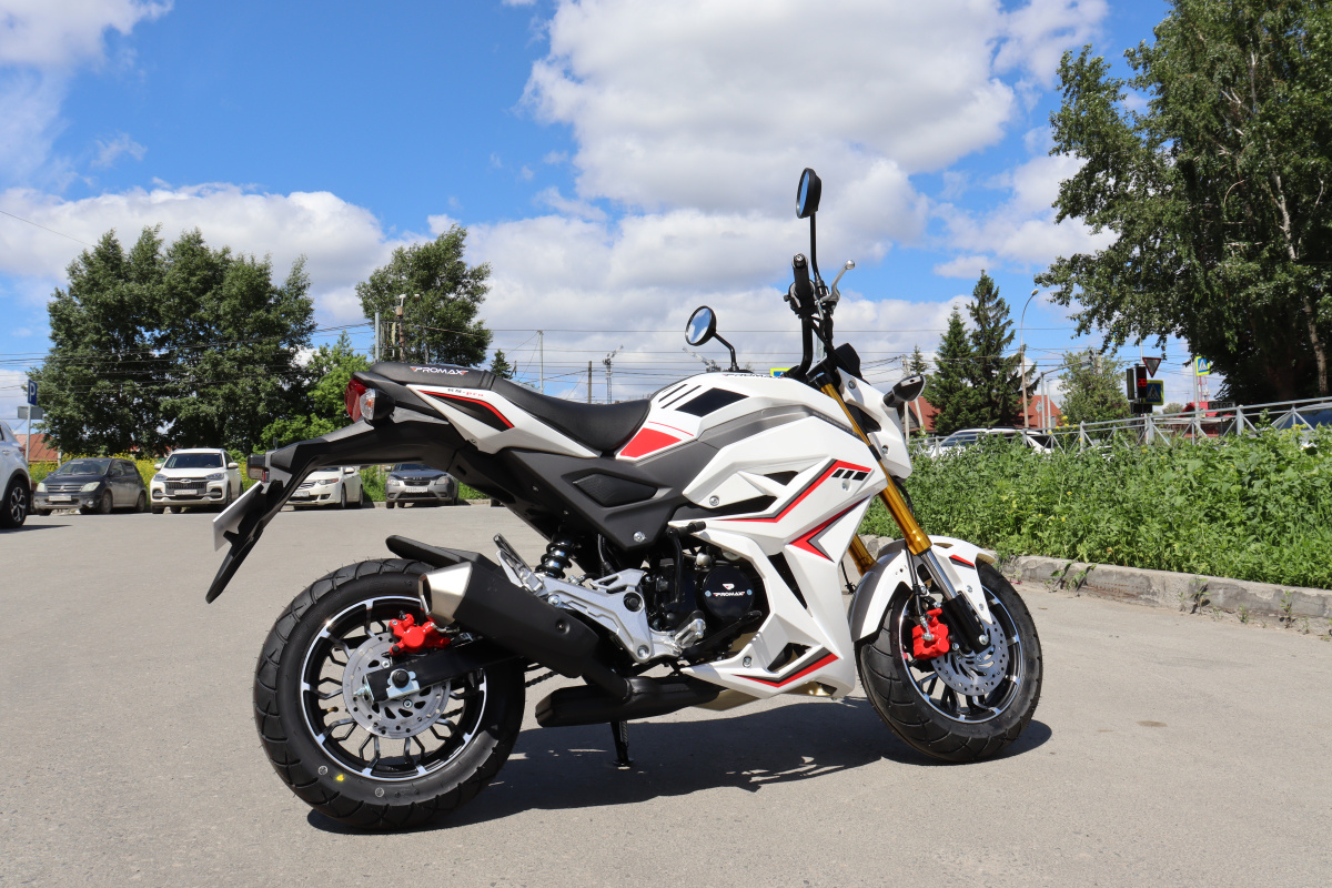 Мотоцикл PROMAX STRYKER 200(49) 2.0 в Элисте