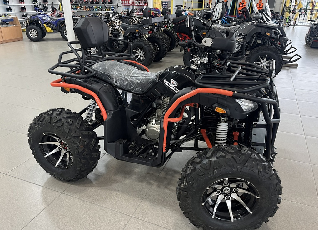 Квадроцикл PROMAX 300 4X4 ALL ROAD в Элисте