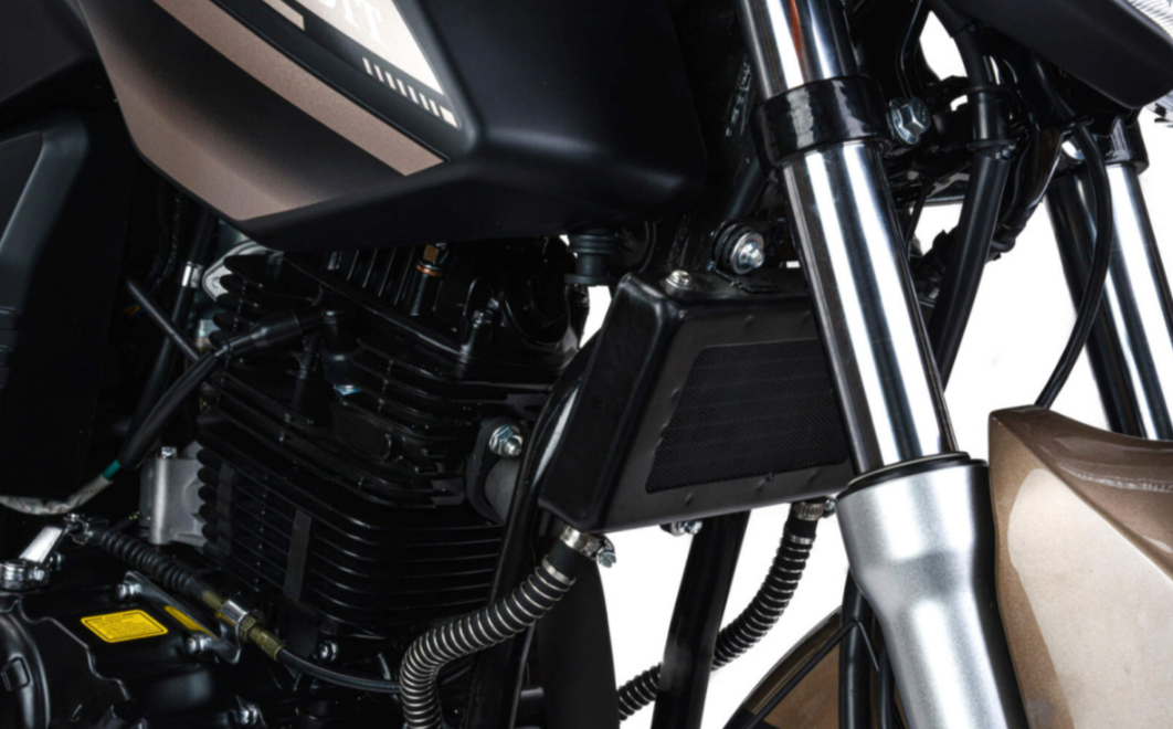 Мотоцикл MOTOLAND (МОТОЛЕНД) 300 BANDIT в Элисте