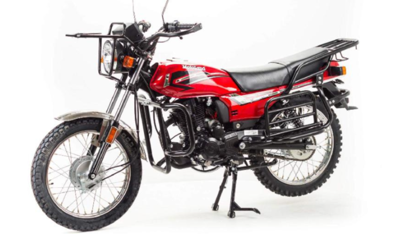 Мотоцикл MOTOLAND (МОТОЛЕНД) FORESTER LITE 200 в Элисте