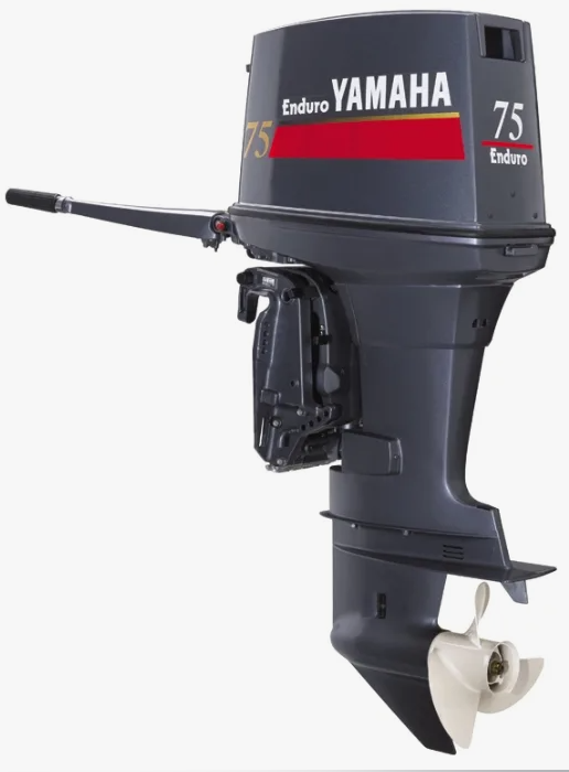 Лодочный мотор YAMAHA E75BMHDL в Элисте