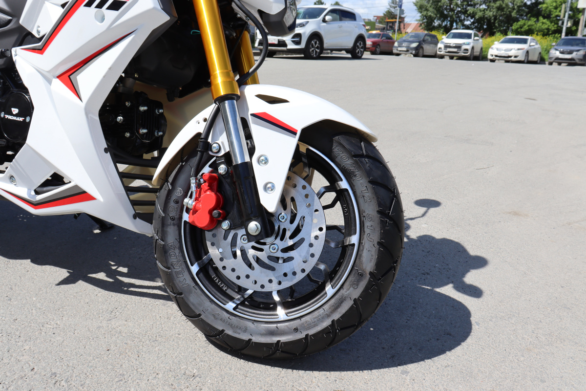 Мотоцикл PROMAX STRYKER 200(49) 2.0 в Элисте