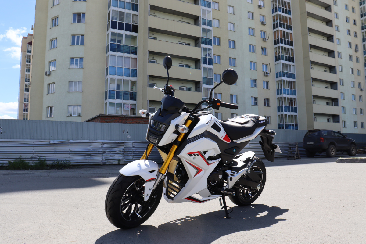 Мотоцикл PROMAX STRYKER 200(49) 2.0 в Элисте