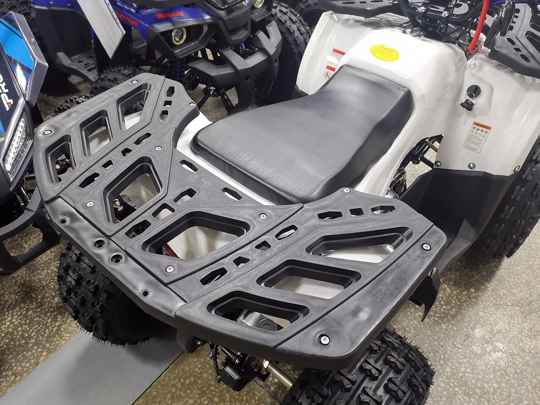 Квадроцикл PROMAX WILD 175 LUX в Элисте