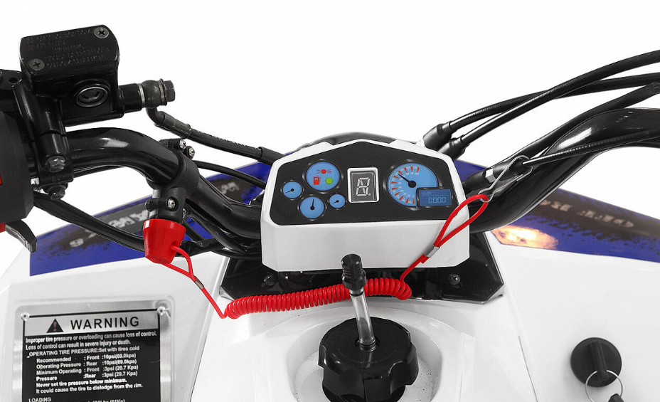 Квадроцикл Yacota Raposa 110 в Элисте