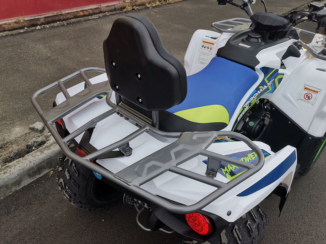 Квадроцикл PROMAX RENEGADE 280 LUX (2025) в Элисте