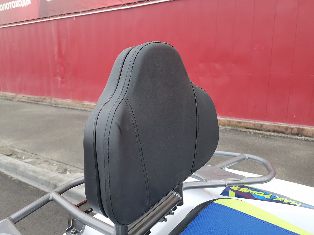 Квадроцикл PROMAX RENEGADE 280 LUX (2025) в Элисте