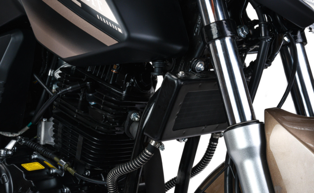 Мотоцикл MOTOLAND (МОТОЛЕНД) 300 BANDIT в Элисте