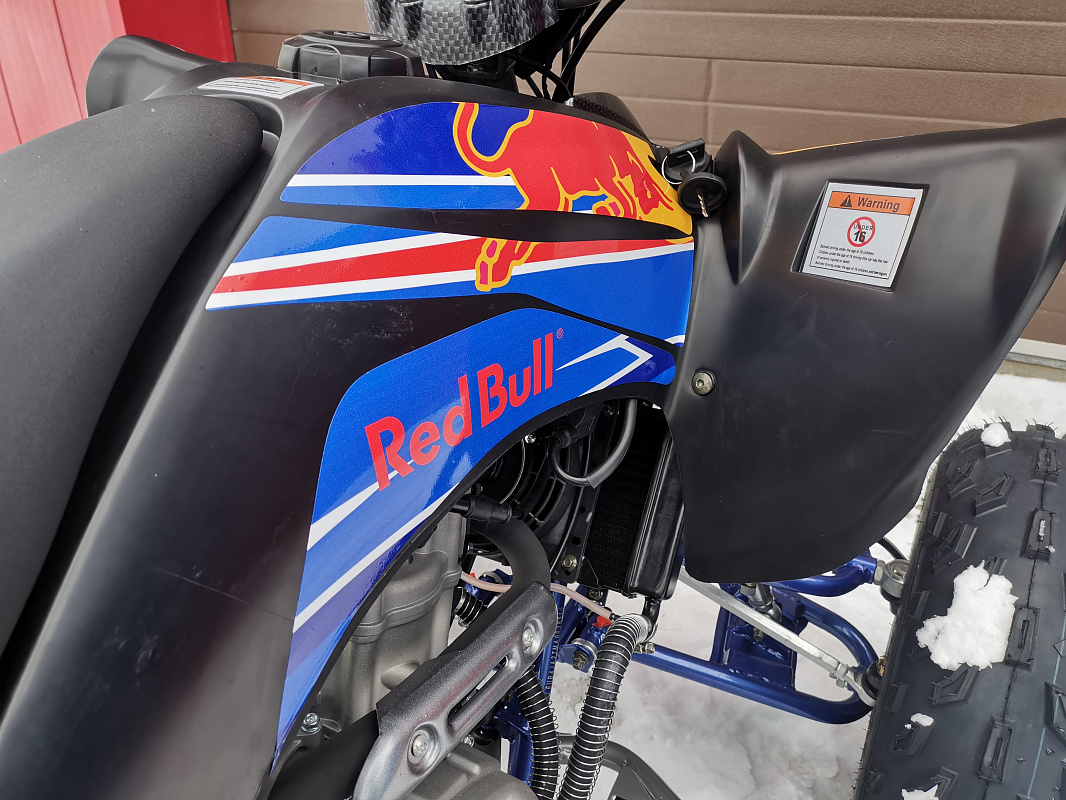 Квадроцикл PROMAX RAPTOR 300 NEW RedBull в Элисте