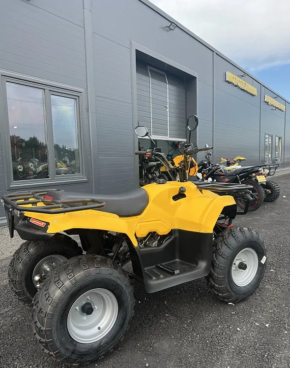 КВАДРОЦИКЛ IRBIS ATV 250  в Элисте