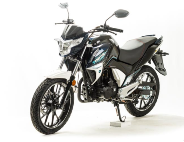 Мотоцикл MOTOLAND (МОТОЛЕНД) FIGHTER 250 в Элисте