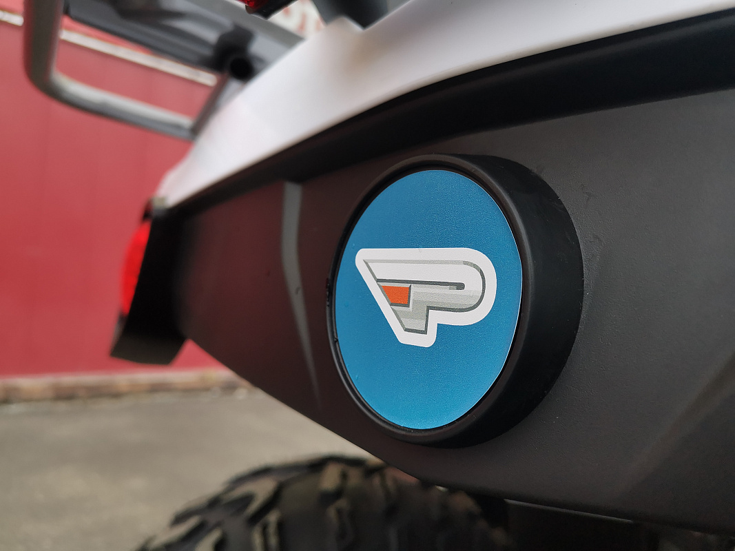 Квадроцикл PROMAX RENEGADE 280 LUX (2025) в Элисте