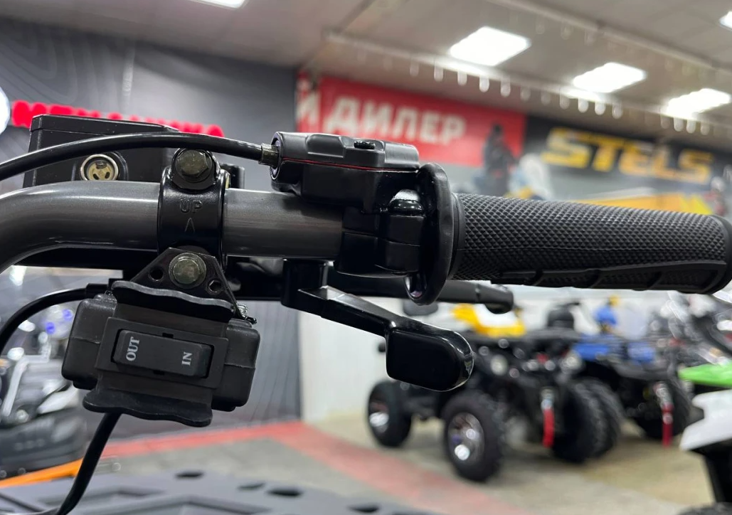 Квадроцикл PROMAX RENEGADE 300 LONG WINCH PRO (2025) в Элисте