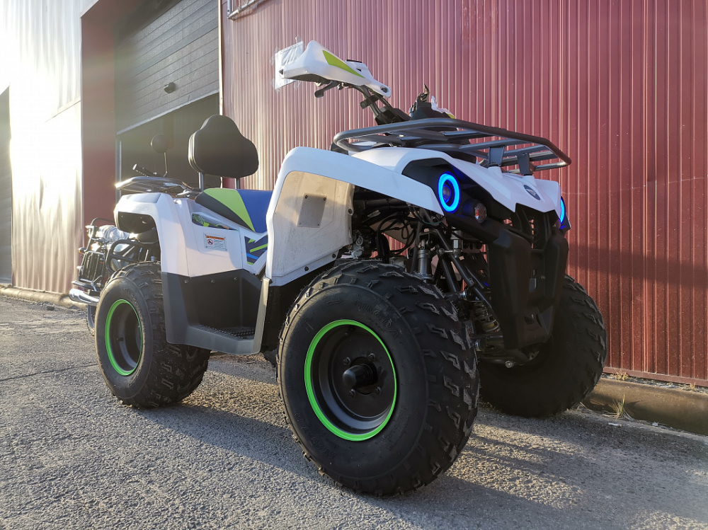 Квадроцикл PROMAX RENEGADE 280 LUX (2025) в Элисте