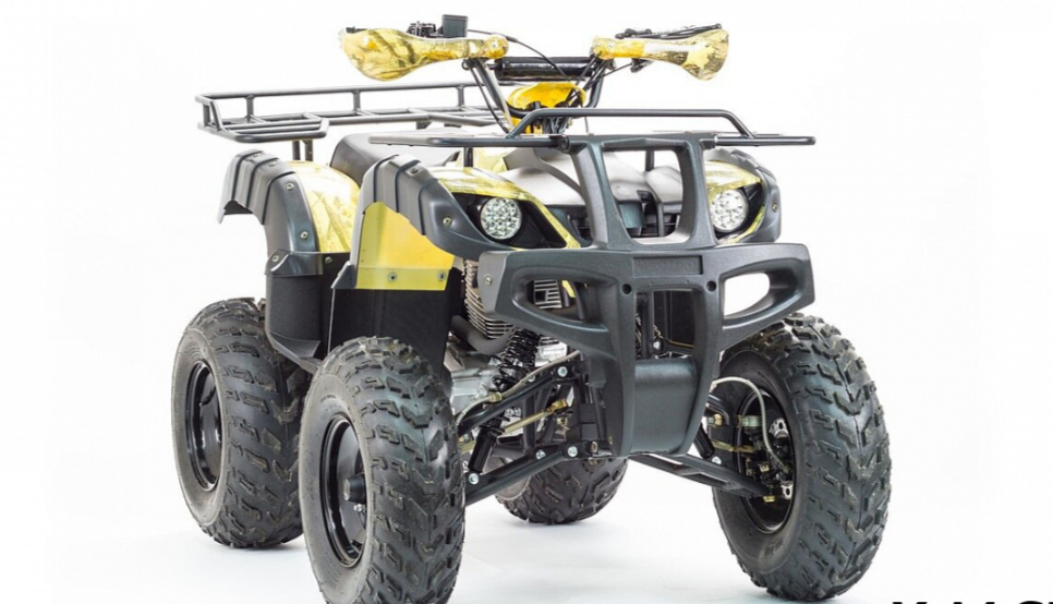 Квадроцикл MOTOLAND (МОТОЛЕНД) 250 ADVENTURE в Элисте