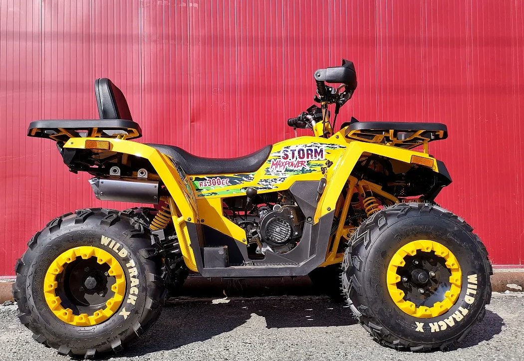 Квадроцикл PROMAX STORM 280 LUX в Элисте