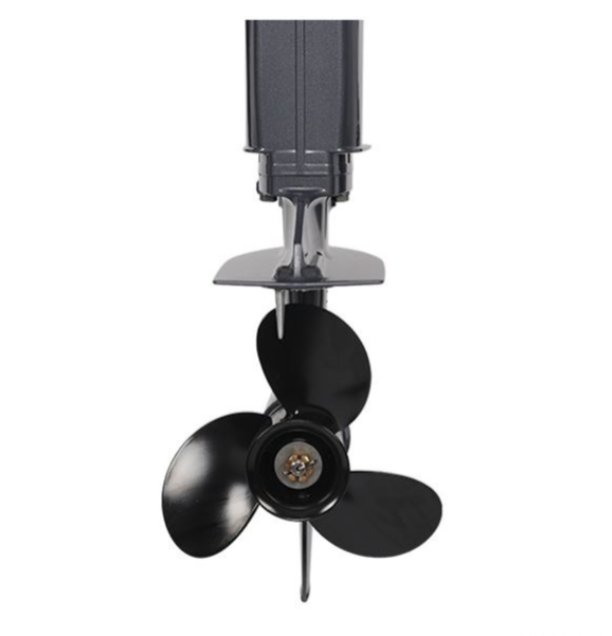 Лодочный мотор ALLFA CG Т40FW S в Элисте