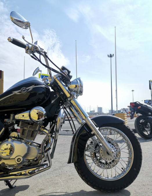 Мотоцикл MOTOLAND (МОТОЛЕНД) WOLF 250 в Элисте