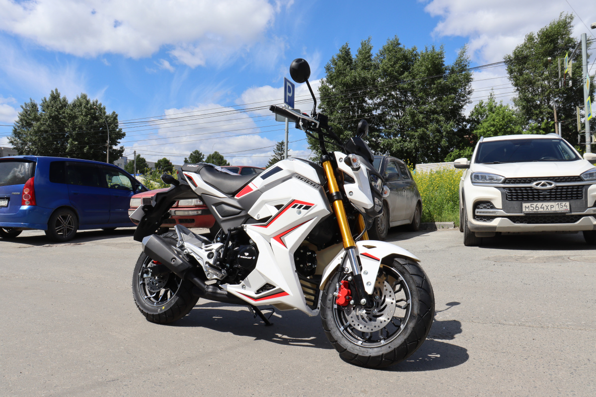 Мотоцикл PROMAX STRYKER 200(49) 2.0 в Элисте