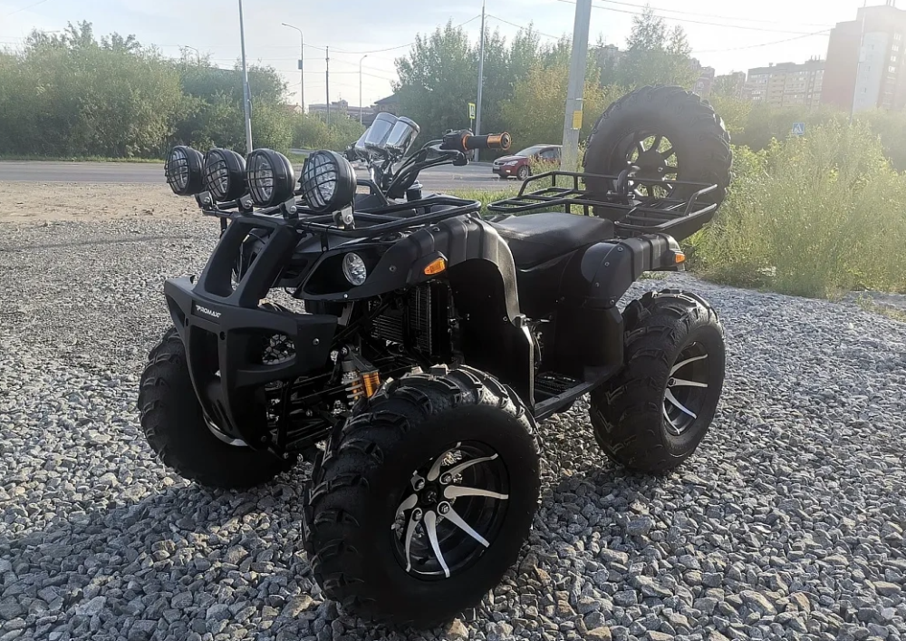 Квадроцикл PROMAX LEO 300 Max (кардан) в Элисте