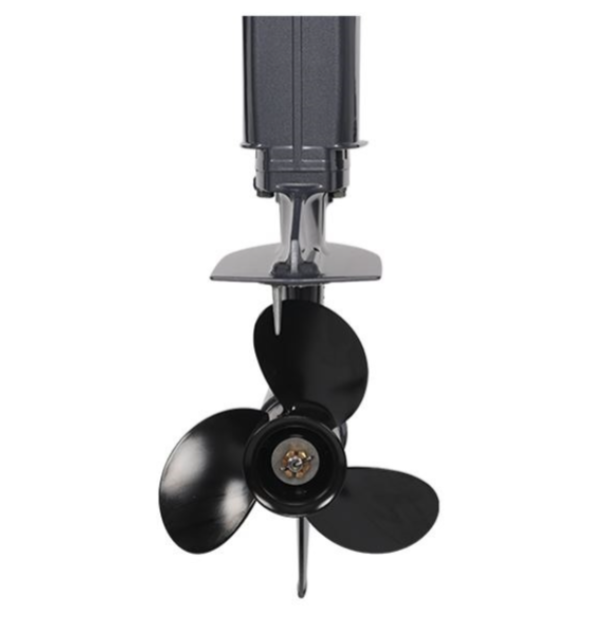 Лодочный мотор ALLFA CG Т40FWT S в Элисте