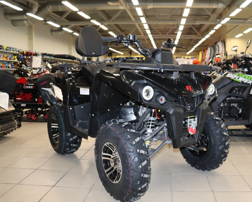 Квадроцикл PROMAX RENEGADE 300 LONG WINCH PRO (2025) в Элисте