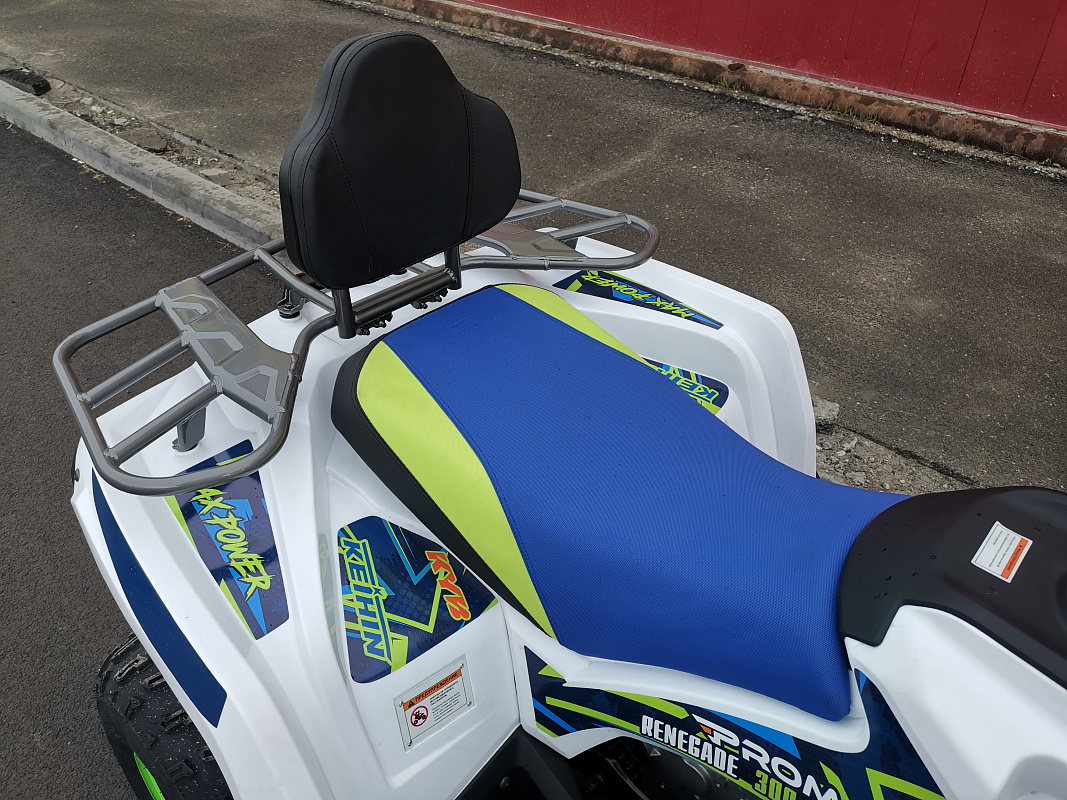 Квадроцикл PROMAX RENEGADE 280 LUX (2025) в Элисте