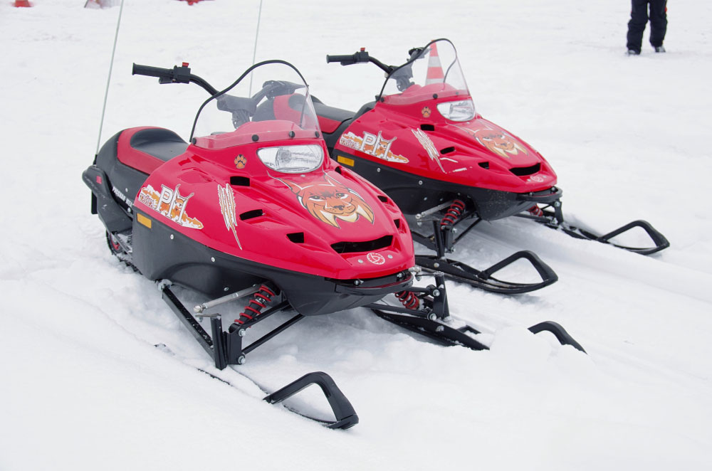 Снегоход РМ ТАЙГА РЫСЬ в Элисте