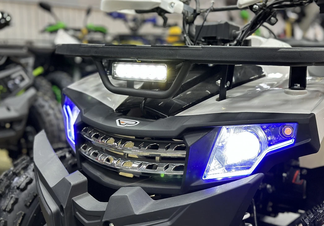 Квадроцикл PROMAX WILD 2.0 190 в Элисте