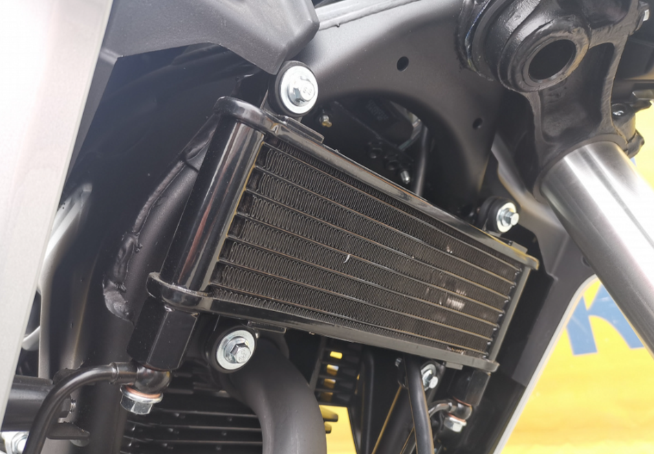 Мотоцикл MOTOLAND (МОТОЛЕНД) 250 CB250 (172FMM-5/PR250) (2022 г.) в Элисте