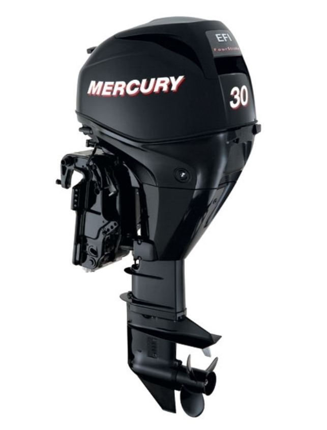 ЛОДОЧНЫЙ МОТОР MERCURY  F 30 ELH GA EFI в Элисте