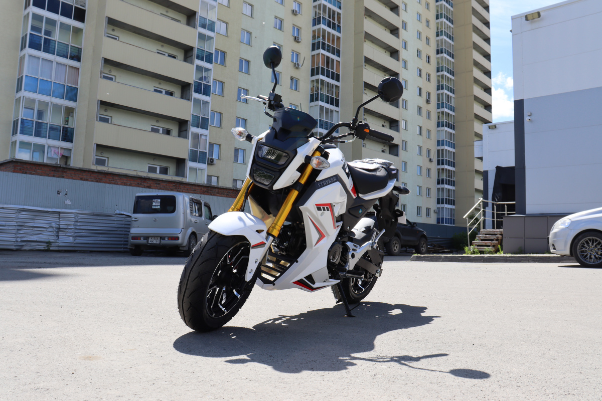 Мотоцикл PROMAX STRYKER 200(49) 2.0 в Элисте