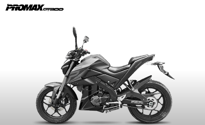 Мотоцикл PROMAX MT300 в Элисте