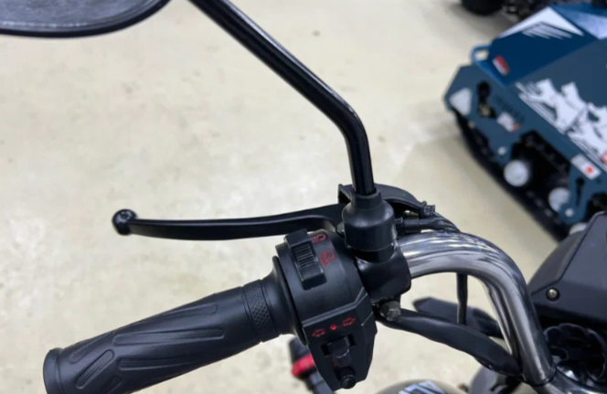 Мопед PROMAX ALPHA PRIDE 130 в Элисте