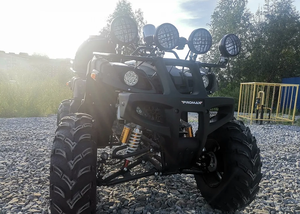 Квадроцикл PROMAX LEO 300 Max (кардан) в Элисте