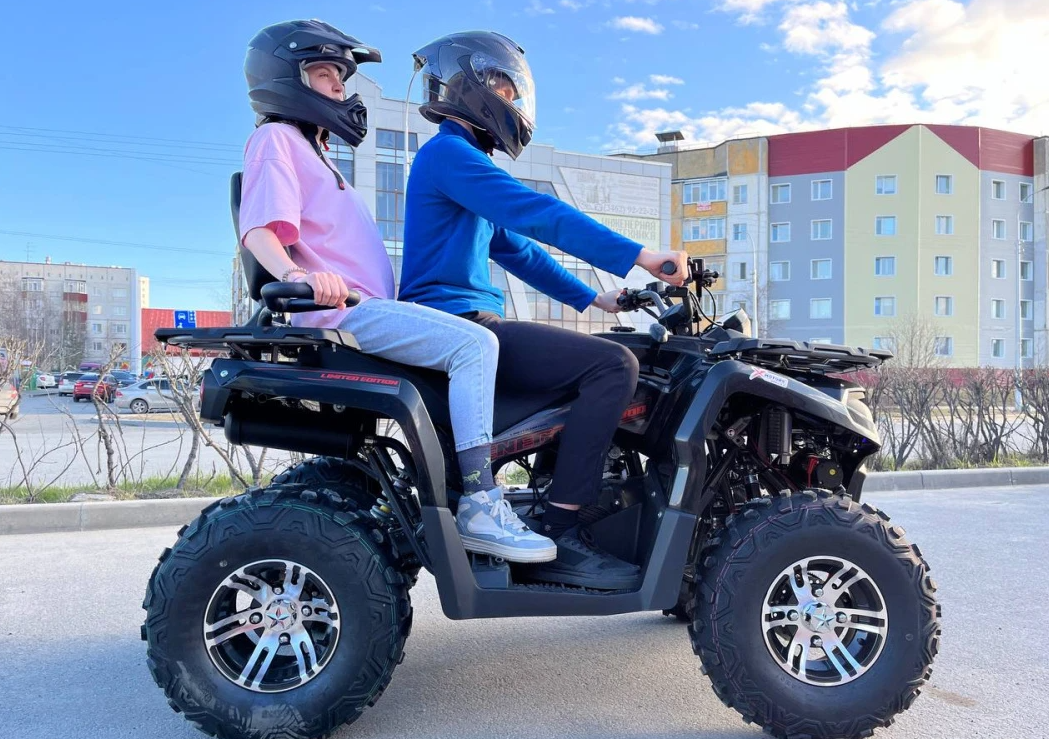 Квадроцикл PROMAX RENEGADE 300 LONG WINCH PRO (2025) в Элисте