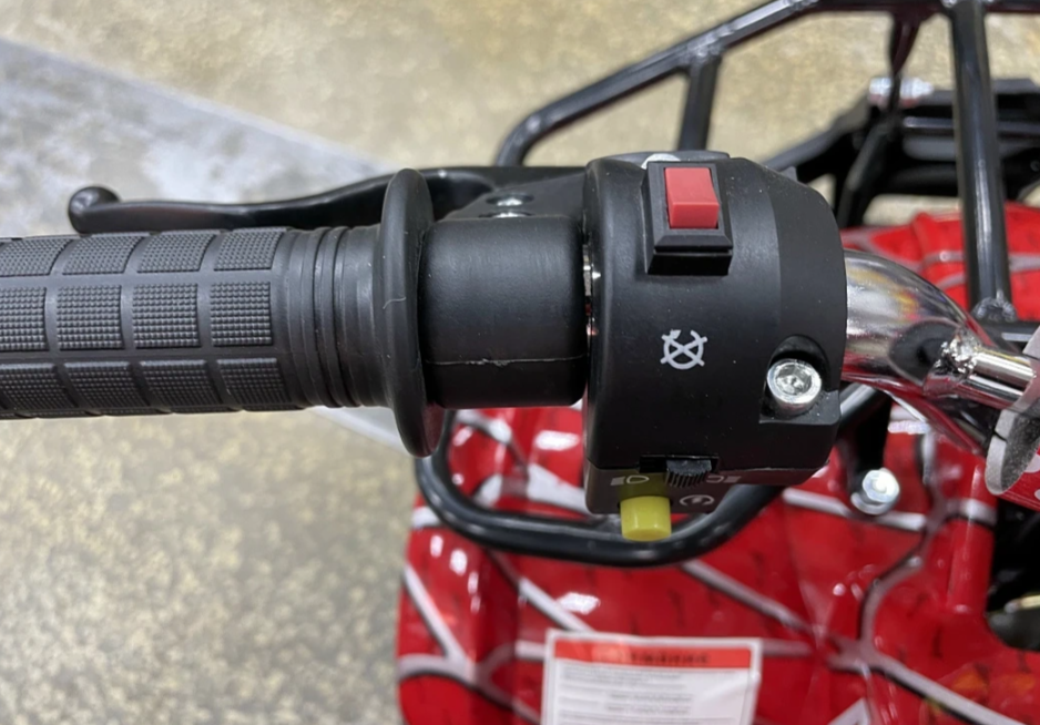 Квадроцикл PROMAX ATV MINI 2T 70CC р/с в Элисте