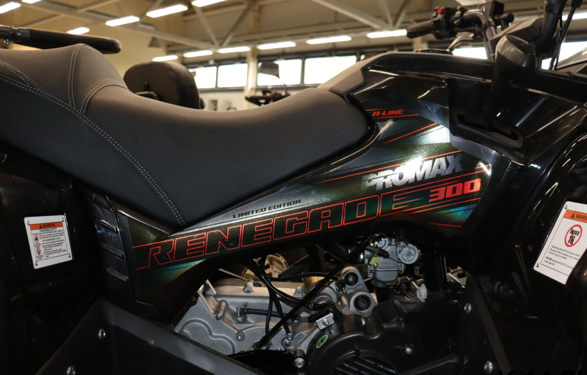 Квадроцикл PROMAX RENEGADE 300 LONG WINCH PRO (2025) в Элисте
