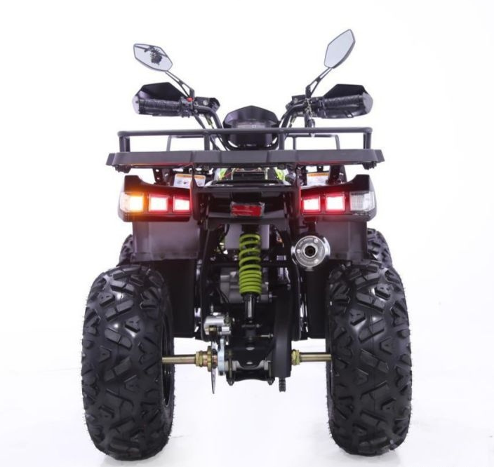 Квадроцикл YACOTA WARRIOR 200 PRO в Элисте