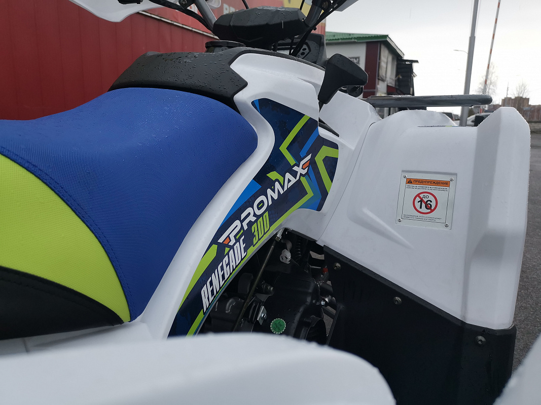 Квадроцикл PROMAX RENEGADE 280 LUX (2025) в Элисте