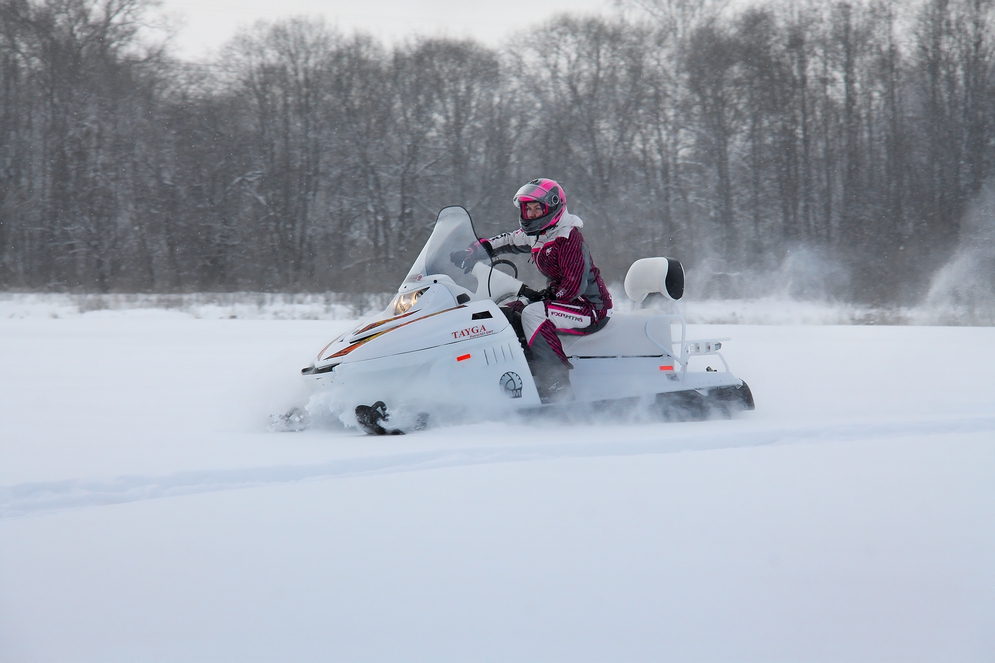 СНЕГОХОД РМ ТАЙГА ПАТРУЛЬ 551 SWT в Элисте