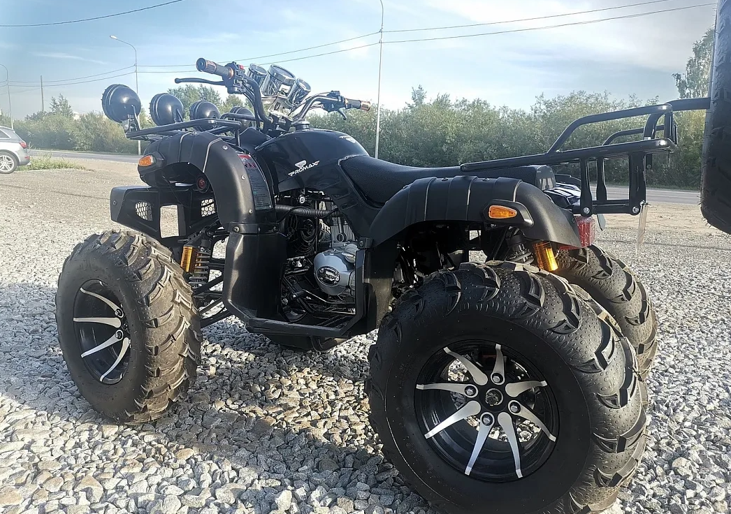 Квадроцикл PROMAX LEO 300 Max (кардан) в Элисте