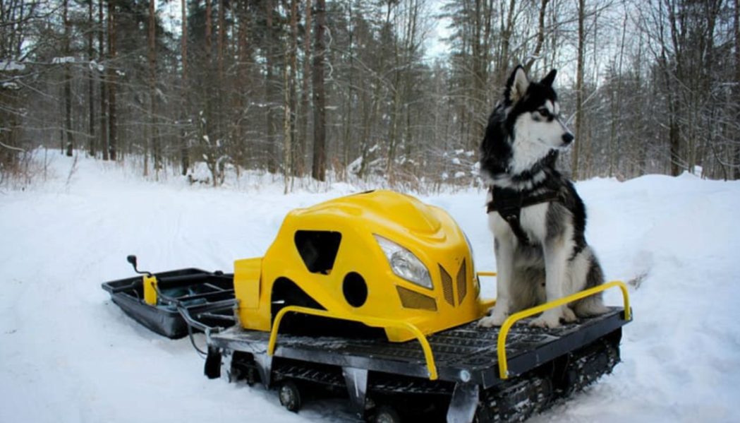 Мотобуксировщик LEBEDEV MOTORS ВОЛКОДАВ POWER V13 в Элисте