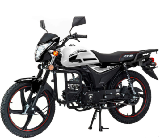 Мопед MOTOLAND (МОТОЛЕНД) Альфа RS 11 (LM48-B) в Элисте