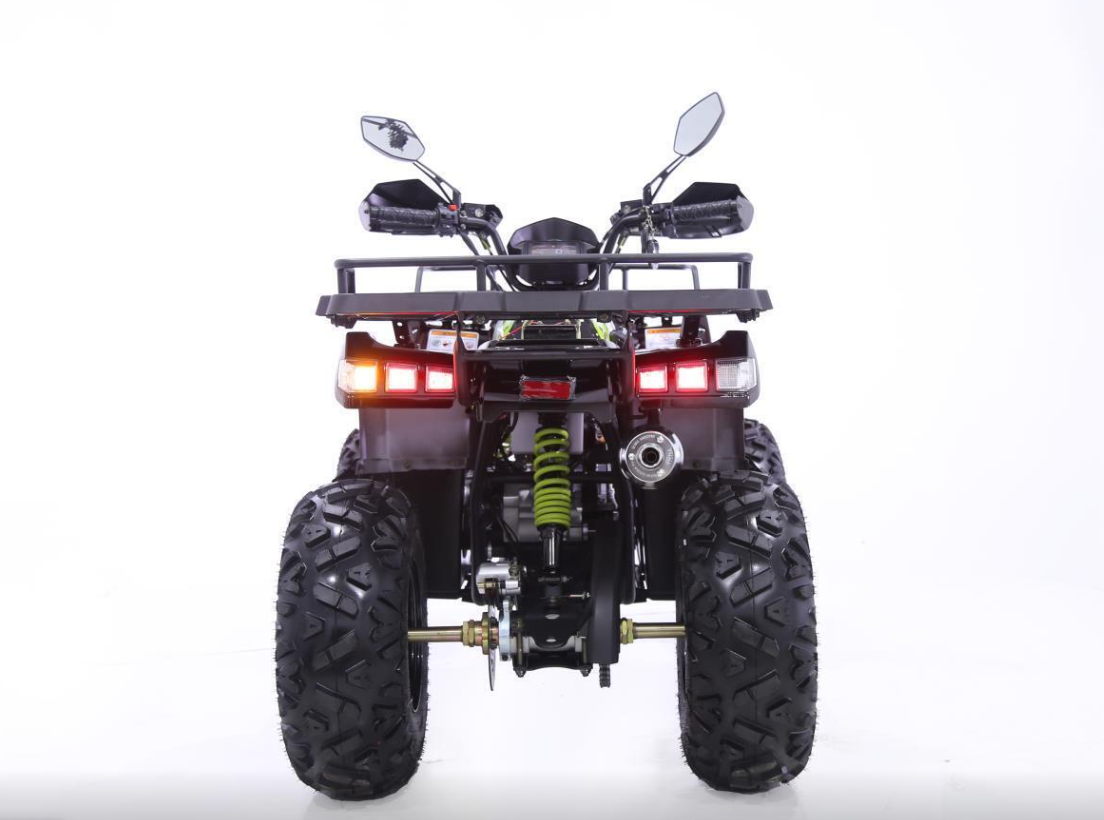 Квадроцикл YACOTA WARRIOR 200 в Элисте