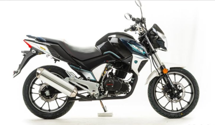 Мотоцикл MOTOLAND (МОТОЛЕНД) FIGHTER 250 в Элисте