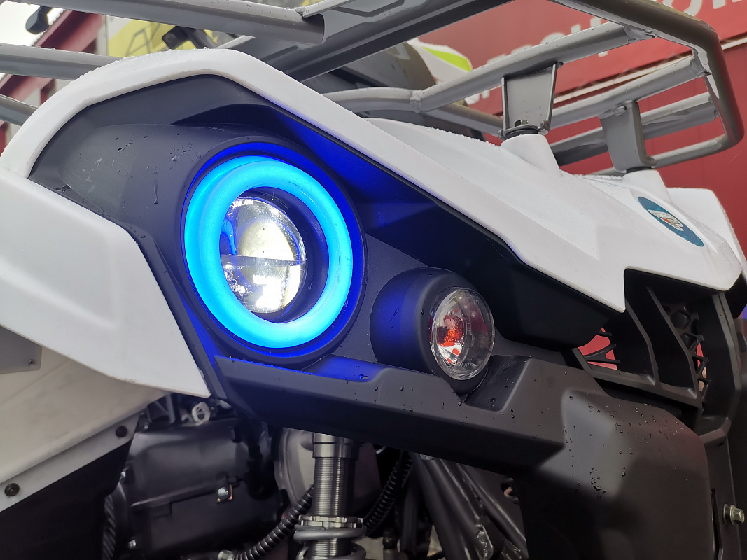 Квадроцикл PROMAX RENEGADE 280 LUX (2025) в Элисте