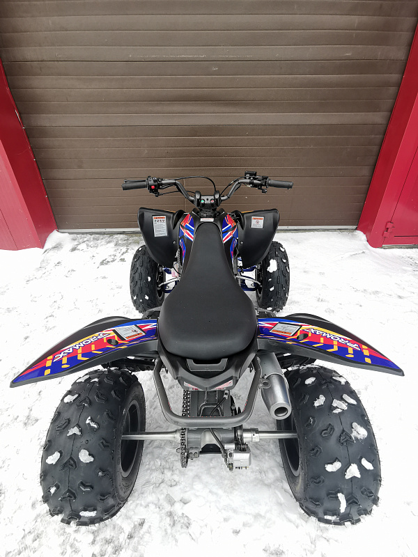 Квадроцикл PROMAX RAPTOR 300 NEW RedBull в Элисте